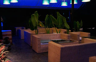 Blue Mushroom Restaurant & Lounge
